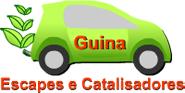 Guina Catalisadores